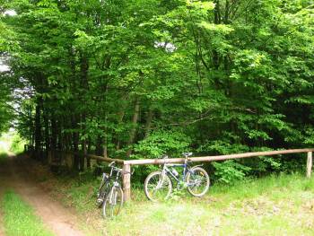 img_0071.jpg img_0071.jpg