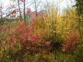 autorzy:fedar:20041028_dylewskie:05_marcinkowo_cmentarz.jpg