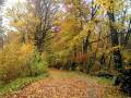 autorzy:fedar:20041028_dylewskie:15_dylewo.jpg