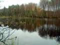 autorzy:fedar:20041028_dylewskie:36_jezfrancuskie.jpg