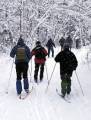 autorzy:fedar:20050129_wp2005:007_st_juchy-gorlowko.jpg