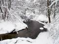 autorzy:fedar:20050129_wp2005:038_mazurka.jpg