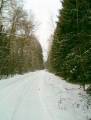 autorzy:fedar:20050305_muszaki:002_wielbark-chwalibogi.jpg