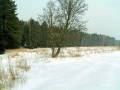 autorzy:fedar:20050305_muszaki:003_wielbark-chwalibogi.jpg