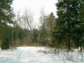 autorzy:fedar:20050305_muszaki:006_chwalibogi.jpg