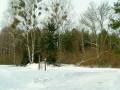 autorzy:fedar:20050305_muszaki:008_chwalibogi.jpg