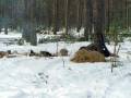 autorzy:fedar:20050305_muszaki:010_chwalibogi-piec_drwale.jpg
