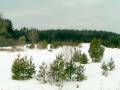 autorzy:fedar:20050305_muszaki:014_piec.jpg