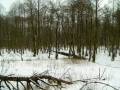 autorzy:fedar:20050305_muszaki:018_piec-malga.jpg