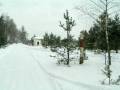 autorzy:fedar:20050305_muszaki:033_kot.jpg