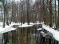 autorzy:fedar:20050305_muszaki:035_kot_omulew.jpg