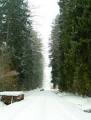 autorzy:fedar:20050313_lekowski:pict0002.jpg