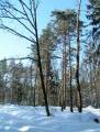 autorzy:fedar:20050313_lekowski:pict0006.jpg