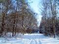 autorzy:fedar:20050313_lekowski:pict0007.jpg