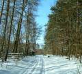 autorzy:fedar:20050313_lekowski:pict0009.jpg