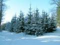autorzy:fedar:20050313_lekowski:pict0010.jpg