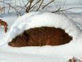 autorzy:fedar:20050313_lekowski:pict0014.jpg