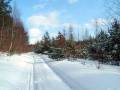 autorzy:fedar:20050313_lekowski:pict0015.jpg