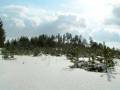autorzy:fedar:20050313_lekowski:pict0017.jpg