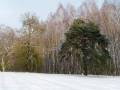 autorzy:fedar:20050313_lekowski:pict0031.jpg