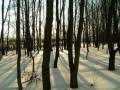 autorzy:fedar:20050313_lekowski:pict0034.jpg
