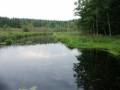 autorzy:fedar:20050911_omulew:685.jpg