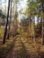 autorzy:fedar:20051030_zenbok_niedzborz:054.jpg