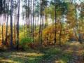 autorzy:fedar:20051030_zenbok_niedzborz:058.jpg