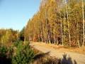 autorzy:fedar:20051030_zenbok_niedzborz:077.jpg