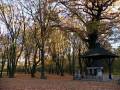 autorzy:fedar:20051030_zenbok_niedzborz:088.jpg