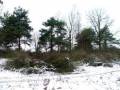 autorzy:fedar:20051203_baboszewo:325_wola_mlocka.jpg