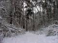 autorzy:fedar:20051220_bardonki:422.jpg