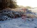autorzy:fedar:20060108_lekowski:475.jpg