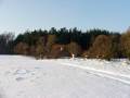 autorzy:fedar:20060108_lekowski:476.jpg