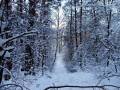 autorzy:fedar:20060108_lekowski:486.jpg