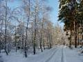 autorzy:fedar:20060108_lekowski:489.jpg