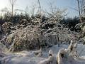 autorzy:fedar:20060108_lekowski:490.jpg