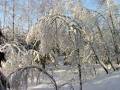 autorzy:fedar:20060108_lekowski:496.jpg