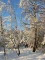 autorzy:fedar:20060108_lekowski:501.jpg