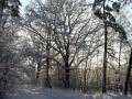 autorzy:fedar:20060108_lekowski:503.jpg