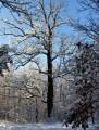 autorzy:fedar:20060108_lekowski:508.jpg