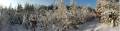 autorzy:fedar:20060108_lekowski:519pan.jpg