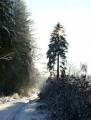 autorzy:fedar:20060108_lekowski:525.jpg