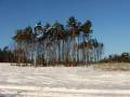 autorzy:fedar:20060108_lekowski:527.jpg
