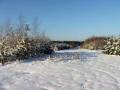 autorzy:fedar:20060108_lekowski:533.jpg