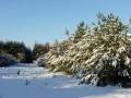 autorzy:fedar:20060108_lekowski:538.jpg