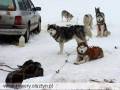 autorzy:fedar:20060218_bieg_sasinow:873_bieg_20060218.jpg