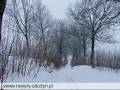 autorzy:fedar:20060219_wyrypa:888_wyrypa_20060219.jpg