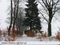 autorzy:fedar:20060219_wyrypa:899_wyrypa_20060219.jpg