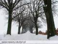 autorzy:fedar:20060219_wyrypa:900_wyrypa_20060219.jpg